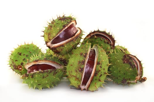 Chestnuts