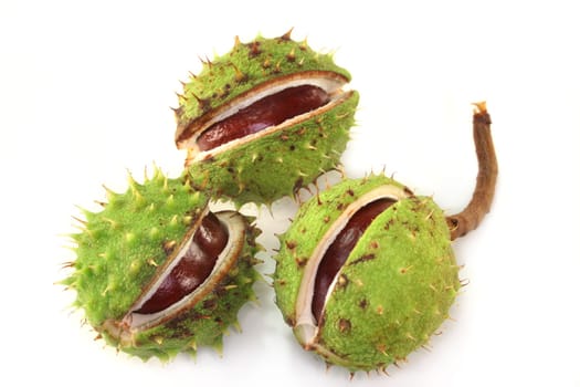 Chestnuts