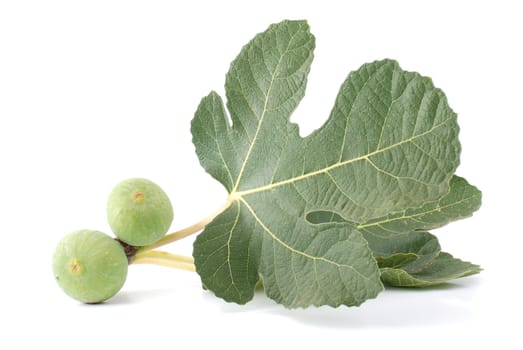 Figs