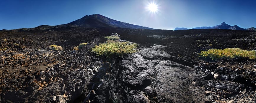 Pico Viejo