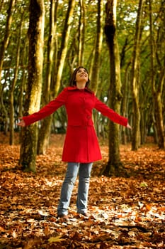 Autumn Beauty
