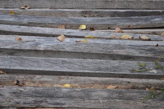 Wood
