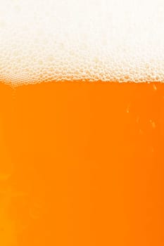 Wheat Beer Closeup