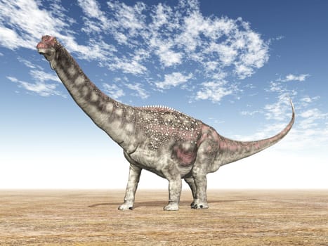 Diamantinasaurus