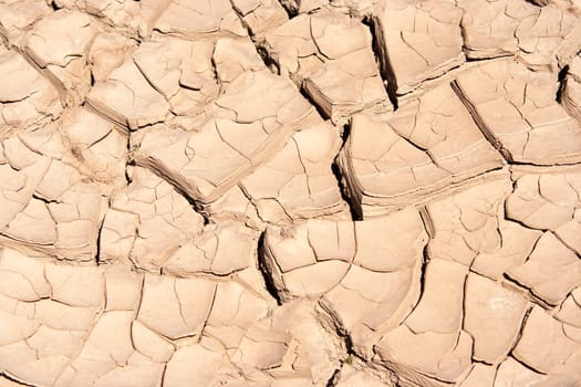 dried and cracked ground