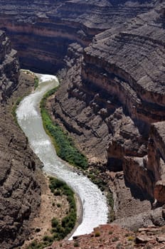 Goosenecks of the San Juan River