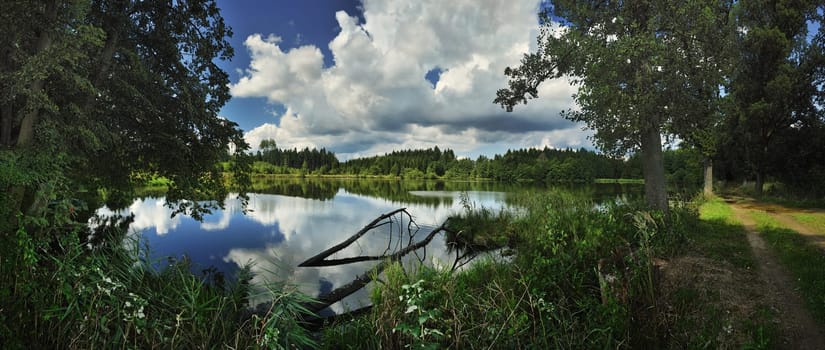 Amtwiesteich in the Wald4tel