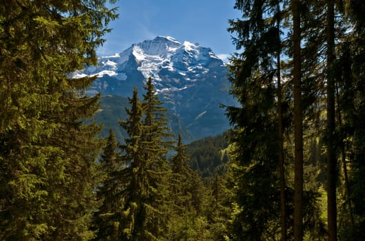 Virgo from Mürren's point of view