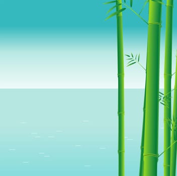 bamboo