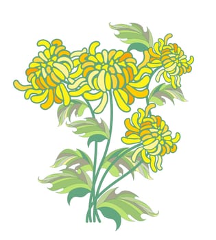 yellow chrysanthemum