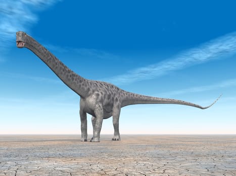 Dinosaur Diplodocus