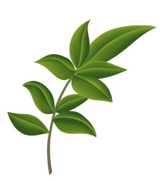 leaf