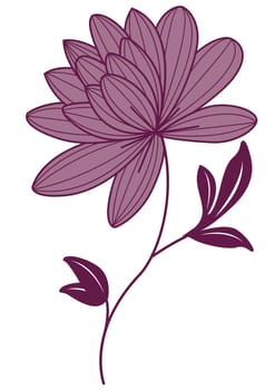 purple lotus flower