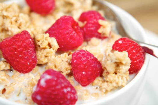 Cereal Bowl