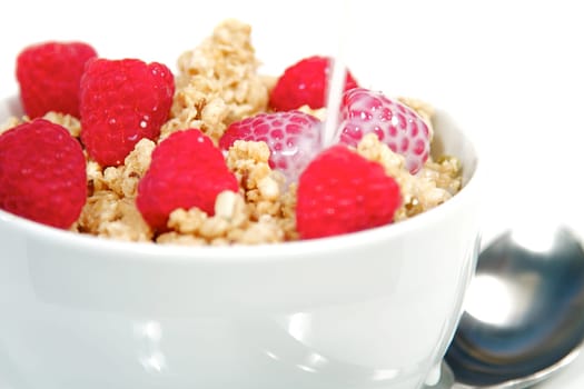 Cereal Bowl