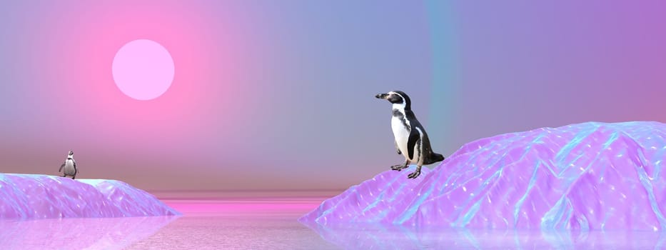 Penguins in Antarctica