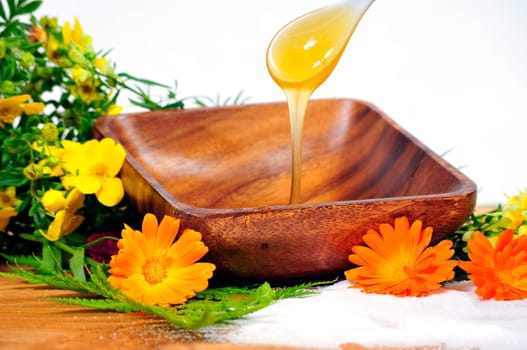 Honey Body Sugaring Spoon