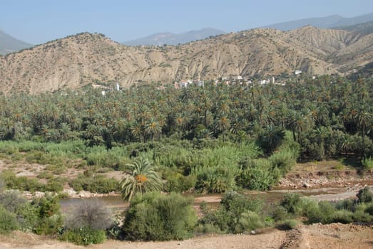 Oasis in the Atlas Mountains