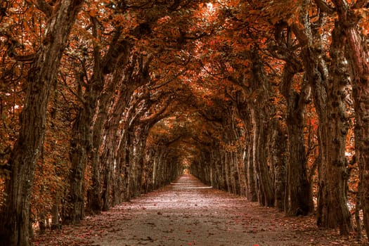 Autumnal