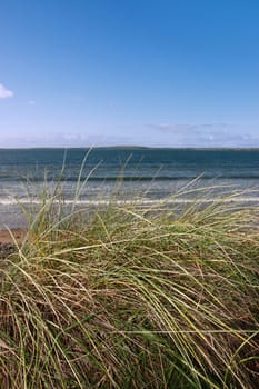 hay fever coast