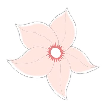 pink flower