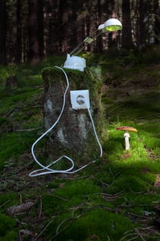 Green Electricity
