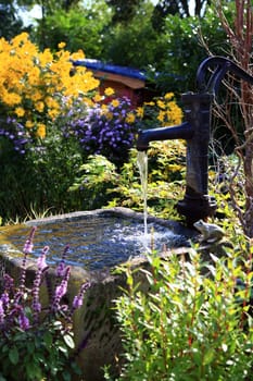 Swivel pump and trough in the garden