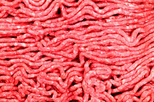 Raw ground meat