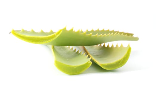 Aloe