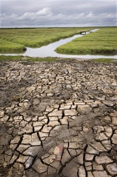 North Sea Salt Marshes