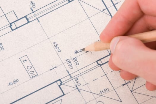 Architect with blueprint