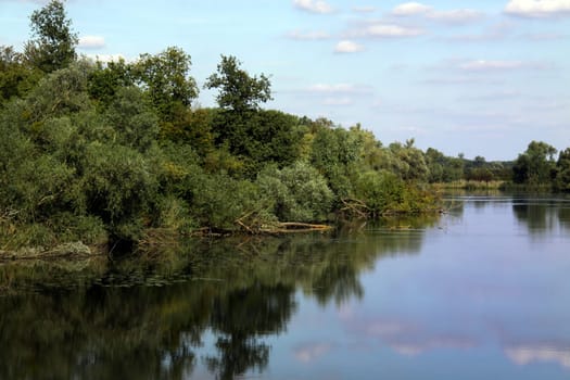 The Rußheimer Altrhein nature reserve with the island of Elisabethenwört is located north of Karlsruhe near Philippsburg.