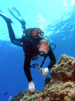 Diver examines the subsurface