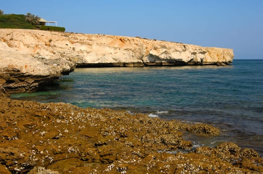 Limestone cliffs on the Gulf of Oman,Sultanate of Oman