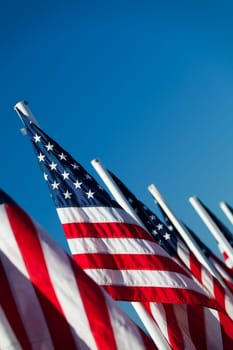 USA American flags in a row