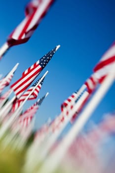 Memorial Day USA flags - shallow focus