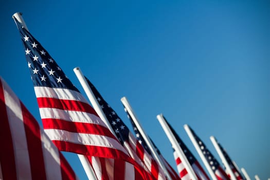 USA American flags in a row
