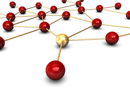 Social Networks