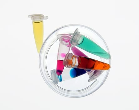 Laboratory work 5