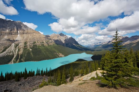 Peyto Lake