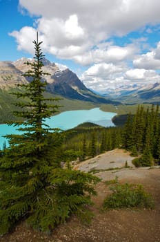 Peyto Lake