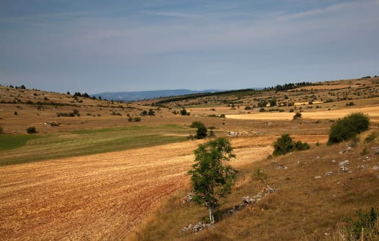 Causse
