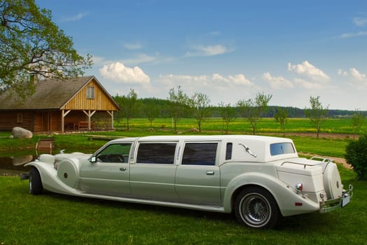 Light limousine in the meadow