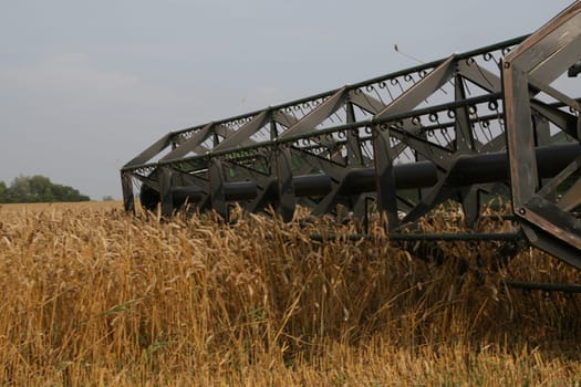 Harvesting