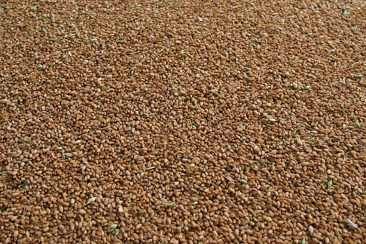 A lot of grain got from harvest.