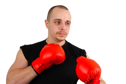 Boxer
