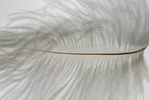 light as a feather