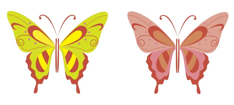 butterfly