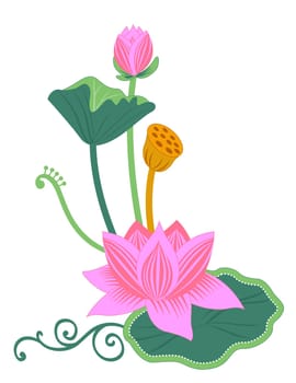 pink lotus