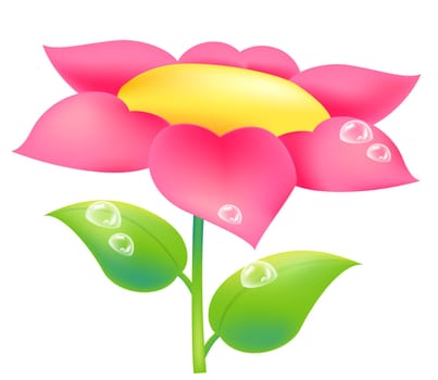 flower and water drop